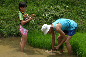 Tigerland Rice Farm