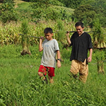 Tigerland Rice Farm